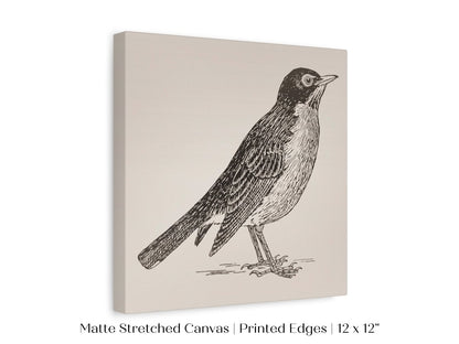 Little Robin | P387 - Single Square Art Prints - Piccolo Fiore Prints