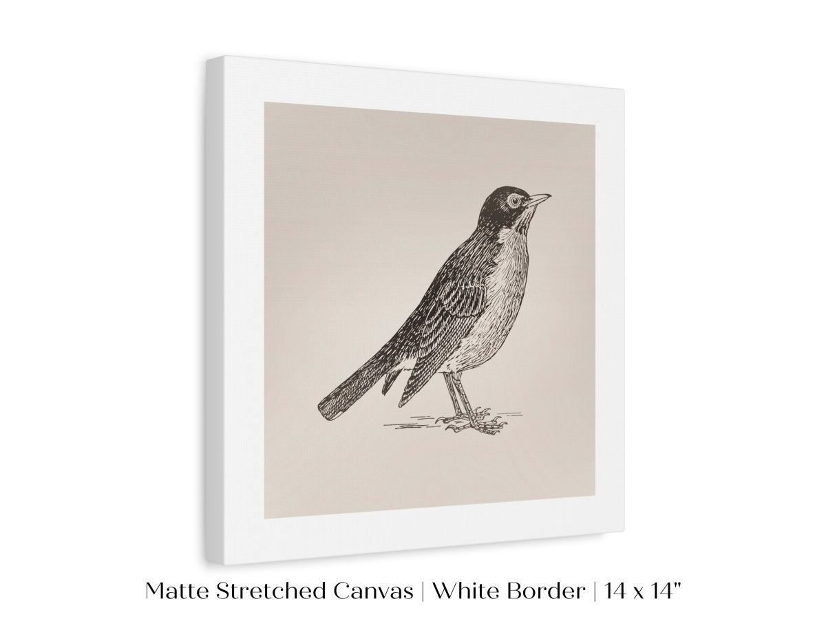 Little Robin | P387 - Single Square Art Prints - Piccolo Fiore Prints