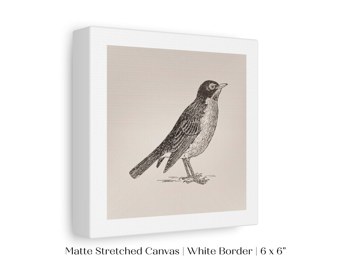 Little Robin | P387 - Single Square Art Prints - Piccolo Fiore Prints
