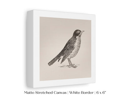 Little Robin | P387 - Single Square Art Prints - Piccolo Fiore Prints