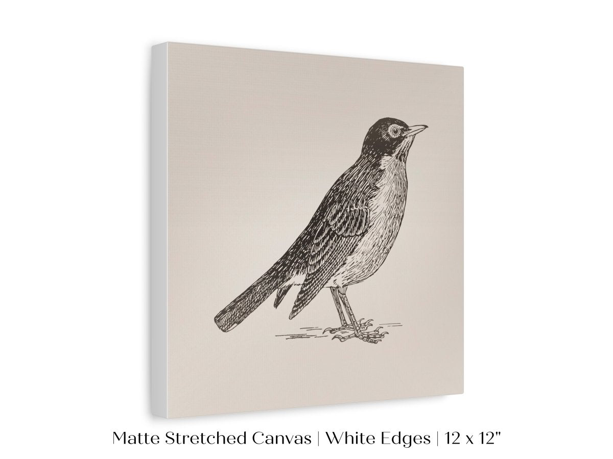 Little Robin | P387 - Single Square Art Prints - Piccolo Fiore Prints