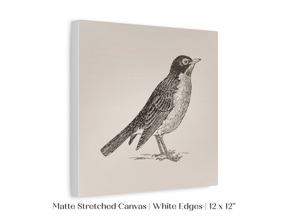 Little Robin | P387 - Single Square Art Prints - Piccolo Fiore Prints