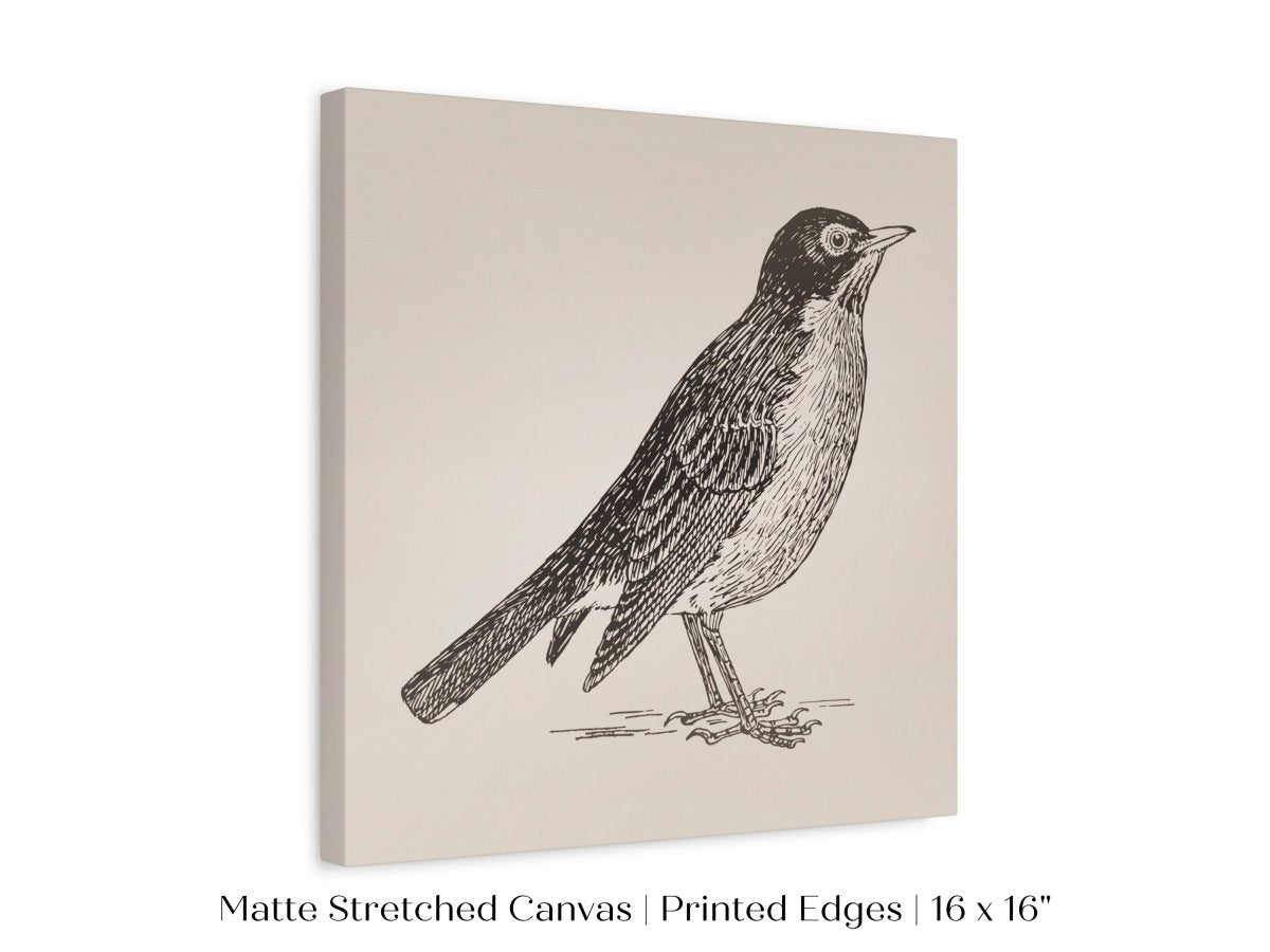 Little Robin | P387 - Single Square Art Prints - Piccolo Fiore Prints