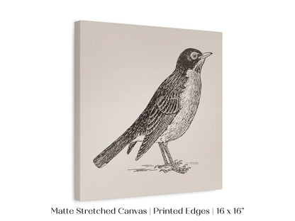Little Robin | P387 - Single Square Art Prints - Piccolo Fiore Prints