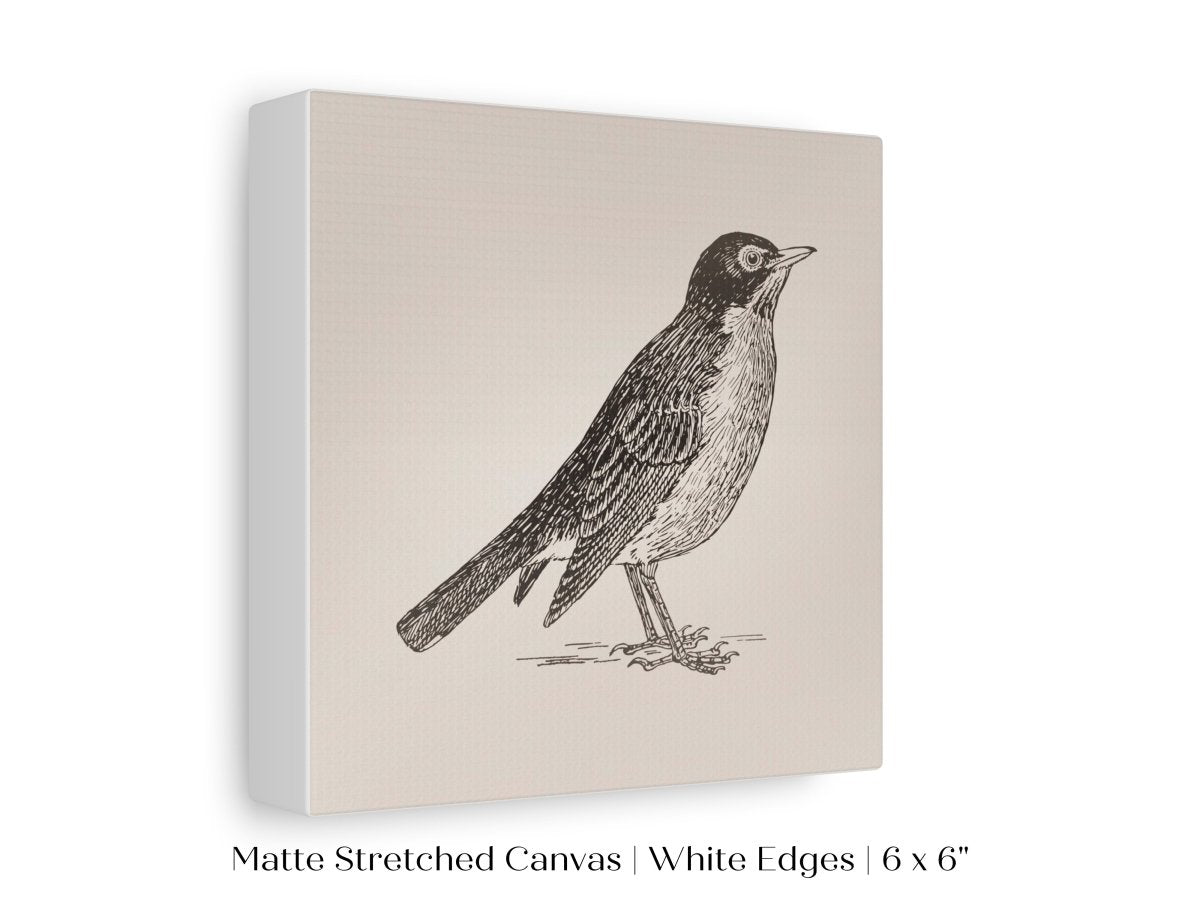 Little Robin | P387 - Single Square Art Prints - Piccolo Fiore Prints