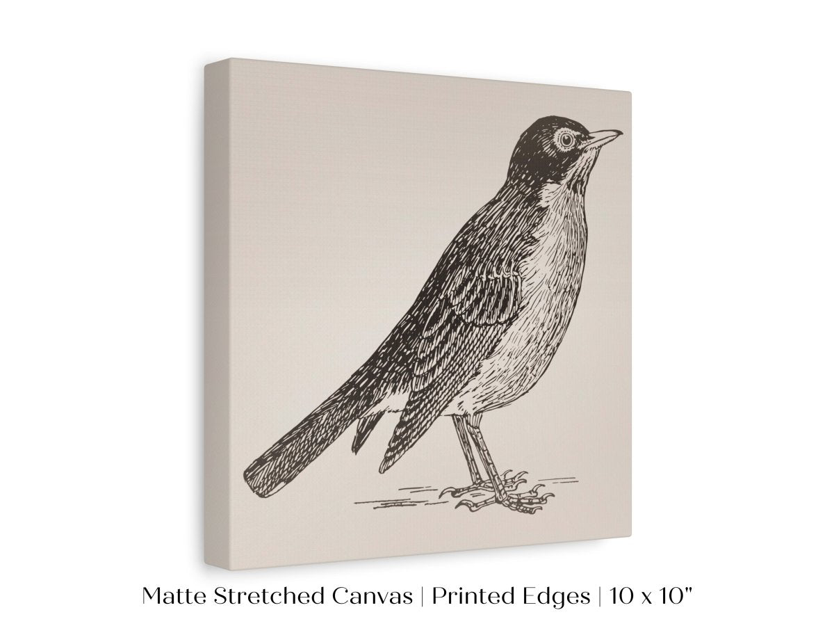 Little Robin | P387 - Single Square Art Prints - Piccolo Fiore Prints