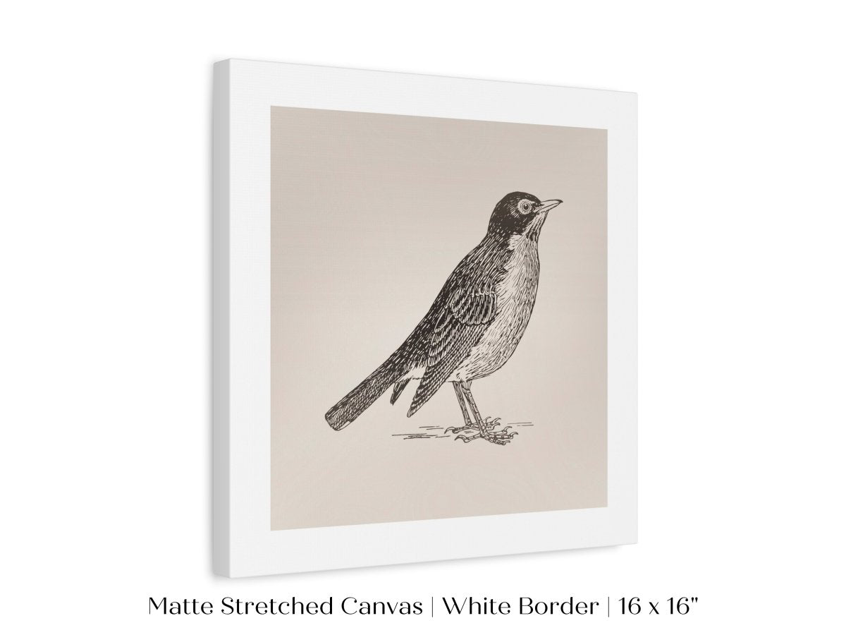 Little Robin | P387 - Single Square Art Prints - Piccolo Fiore Prints