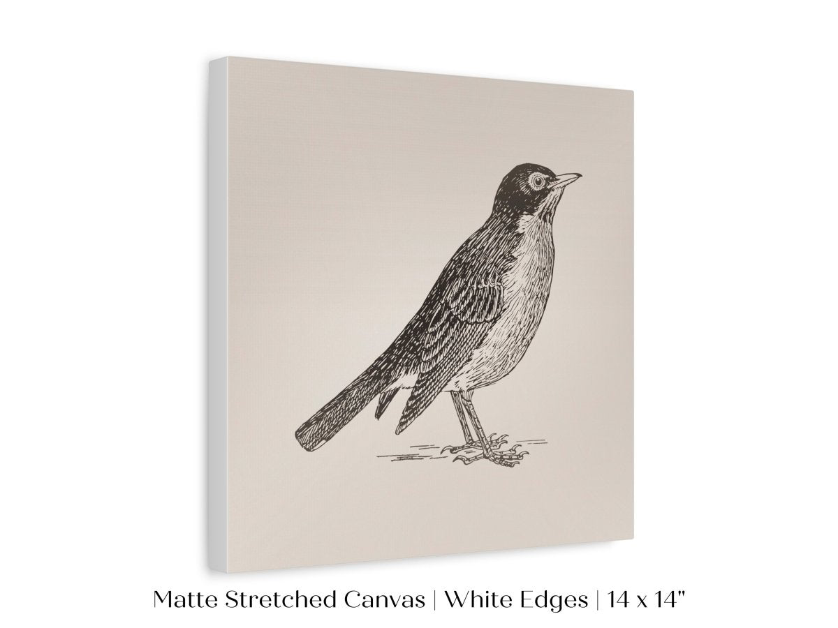 Little Robin | P387 - Single Square Art Prints - Piccolo Fiore Prints