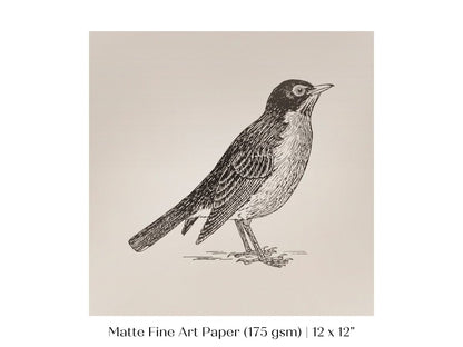 Little Robin | P387 - Single Square Art Prints - Piccolo Fiore Prints