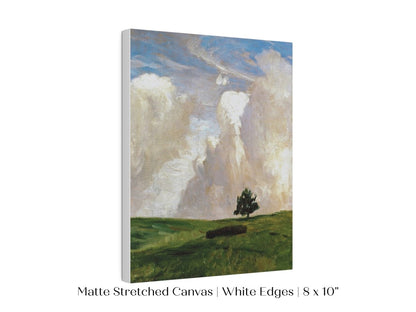 Lone Tree | P425 - Single Art Prints - Piccolo Fiore Prints