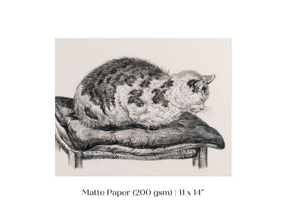 Lying Cat on a Pillow | P216 - Single Art Prints - Piccolo Fiore Prints
