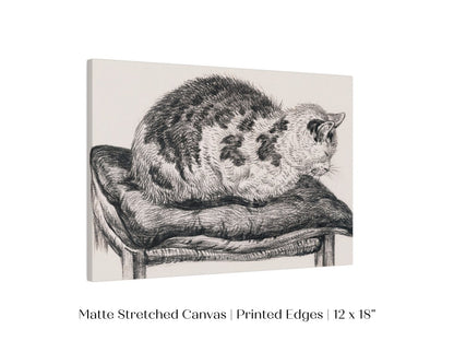 Lying Cat on a Pillow | P216 - Single Art Prints - Piccolo Fiore Prints