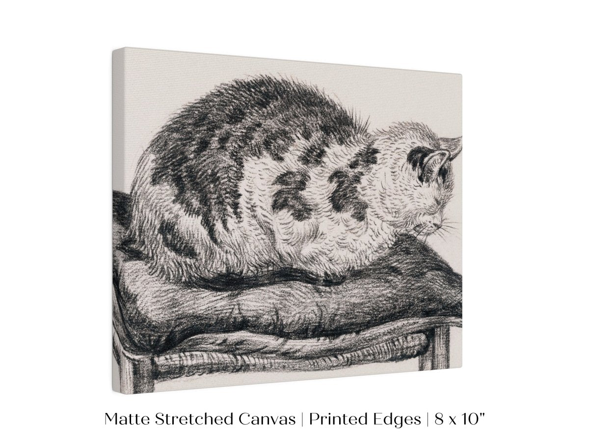 Lying Cat on a Pillow | P216 - Single Art Prints - Piccolo Fiore Prints