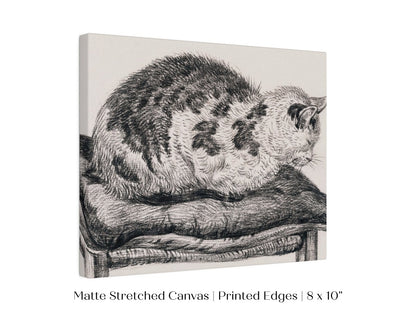 Lying Cat on a Pillow | P216 - Single Art Prints - Piccolo Fiore Prints