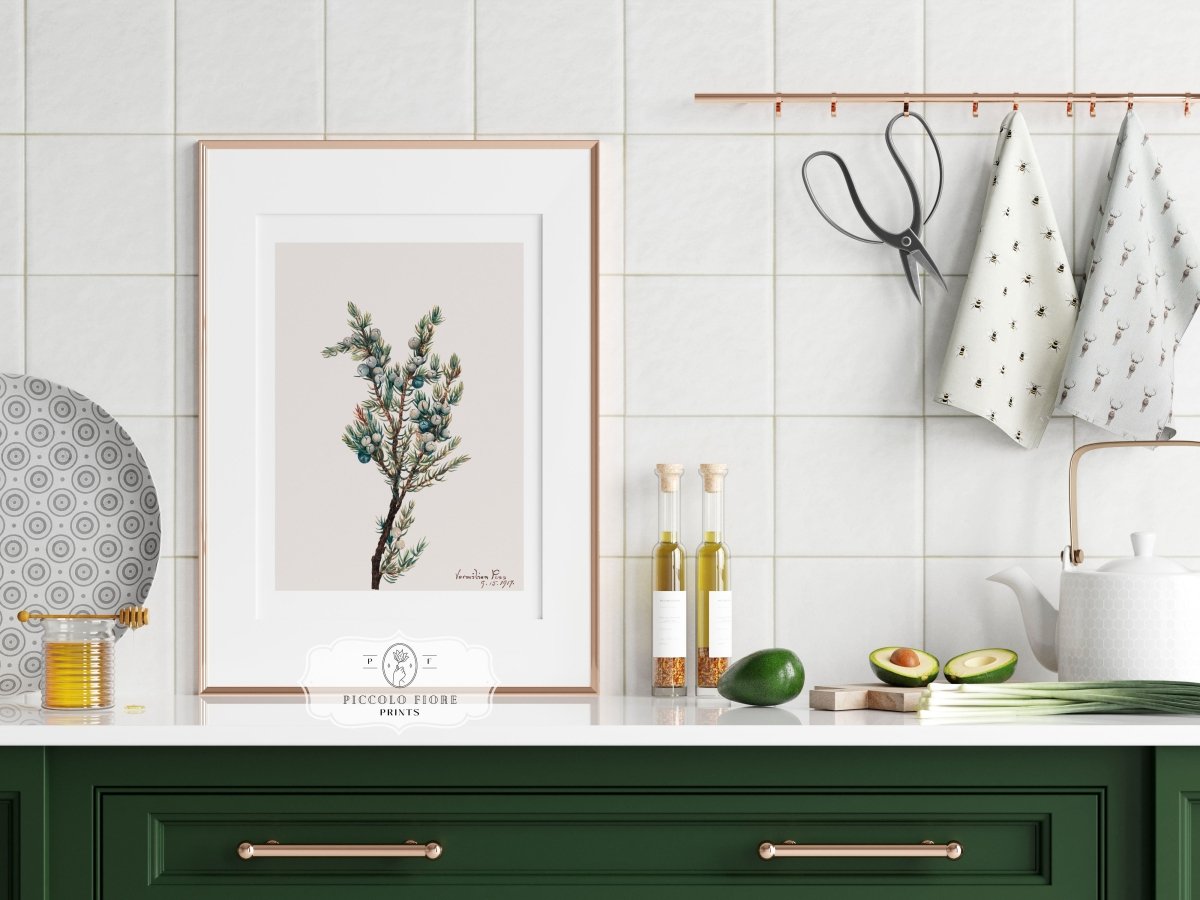 Mountain Juniper | P200 - Single Art Prints - Piccolo Fiore Prints