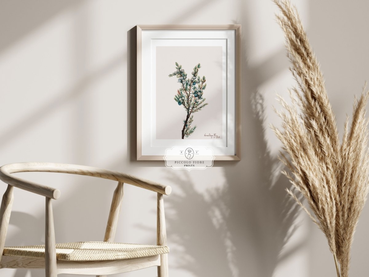 Mountain Juniper | P200 - Single Art Prints - Piccolo Fiore Prints