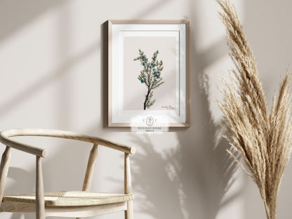 Mountain Juniper | P200 - Single Art Prints - Piccolo Fiore Prints