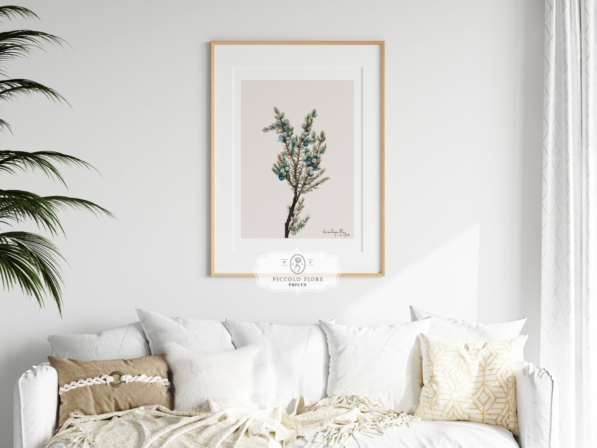 Mountain Juniper | P200 - Single Art Prints - Piccolo Fiore Prints
