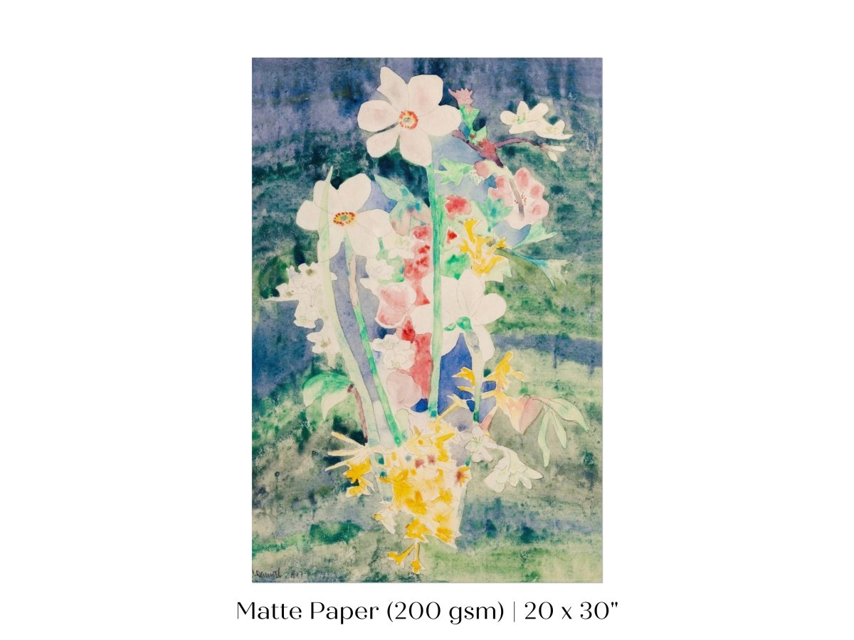 Narcissi | P59 - Single Art Prints - Piccolo Fiore Prints