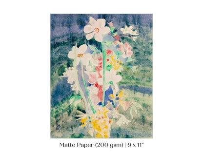 Narcissi | P59 - Single Art Prints - Piccolo Fiore Prints