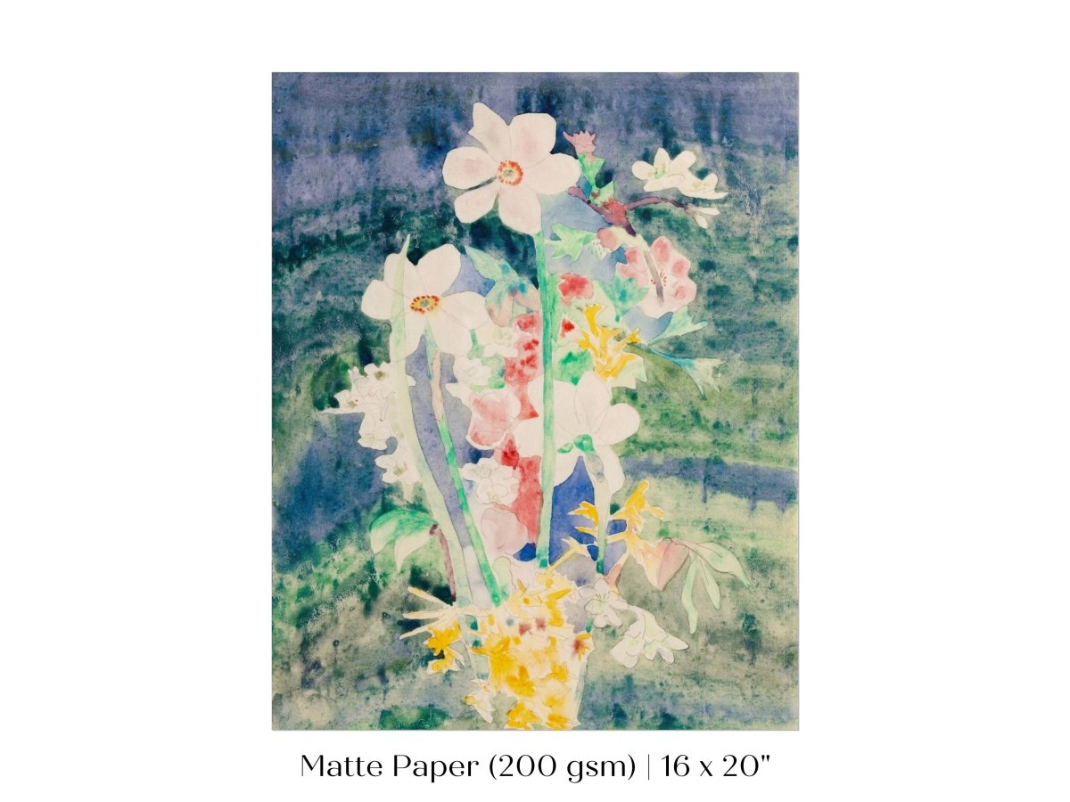 Narcissi | P59 - Single Art Prints - Piccolo Fiore Prints