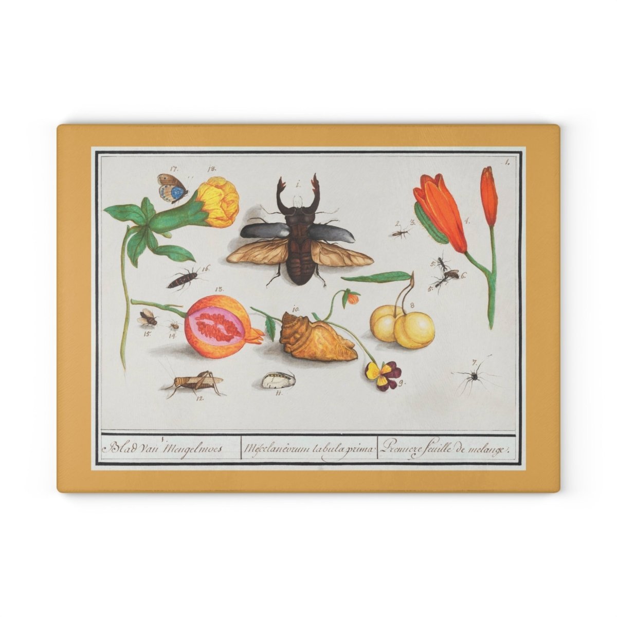Natural History Ensemble No. 1 | Glass Chopping Board - Glass Chopping Board - Piccolo Fiore Prints