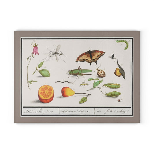 Natural History Ensemble No. 10 | Glass Chopping Board - Glass Chopping Board - Piccolo Fiore Prints