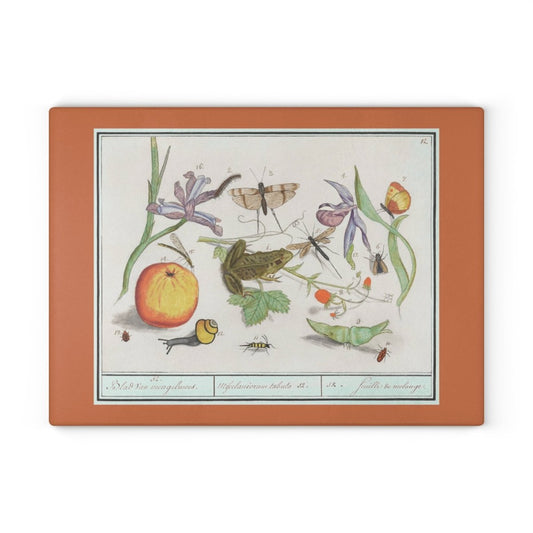 Natural History Ensemble No. 12 | Glass Chopping Board - Glass Chopping Board - Piccolo Fiore Prints