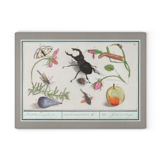Natural History Ensemble No. 13 | Glass Chopping Board - Glass Chopping Board - Piccolo Fiore Prints