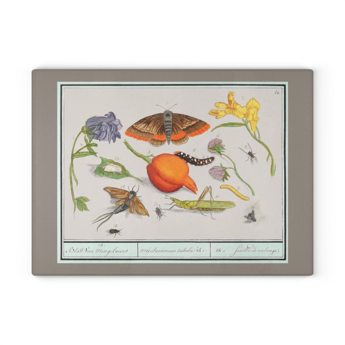 Natural History Ensemble No. 14 | Glass Chopping Board - Glass Chopping Board - Piccolo Fiore Prints