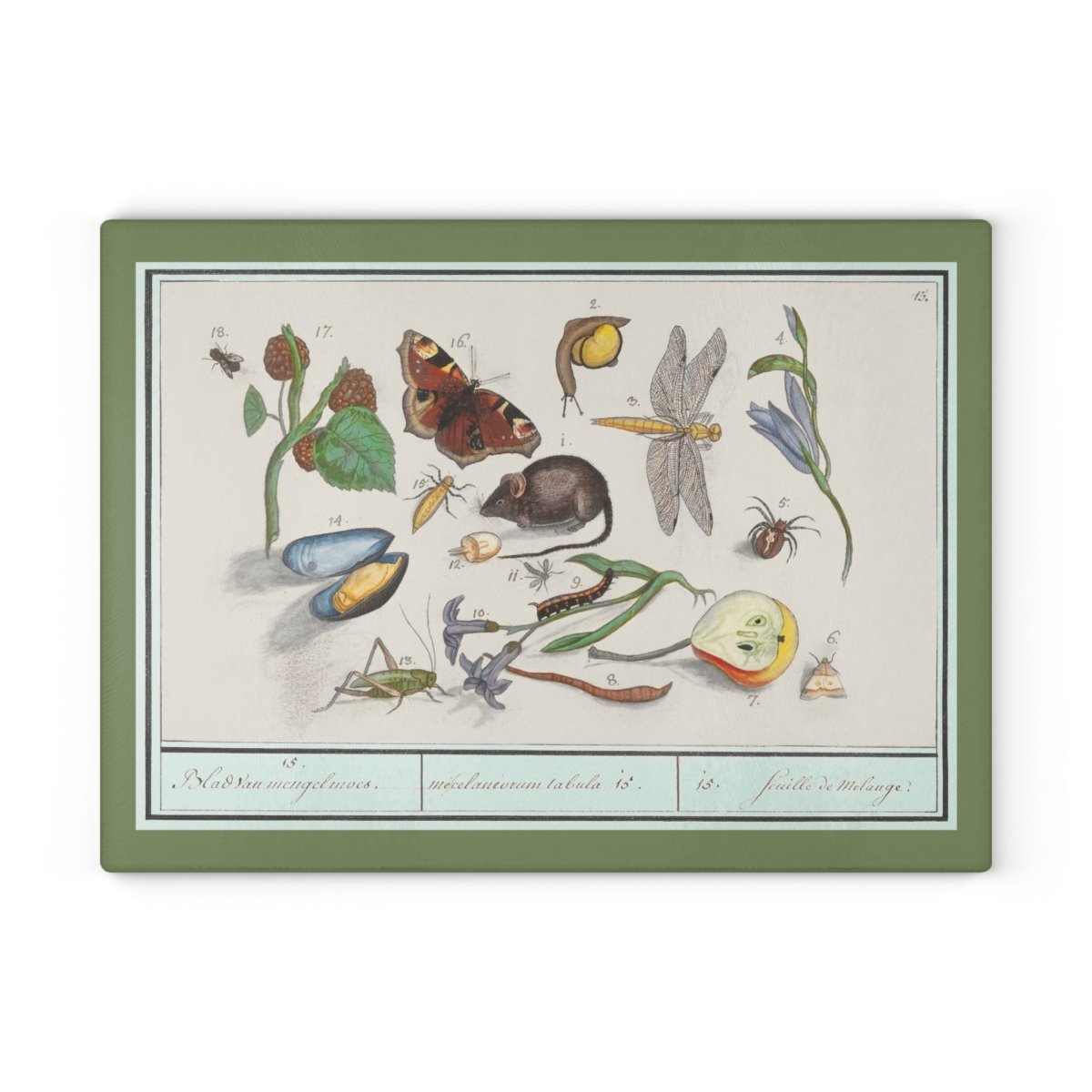 Natural History Ensemble No. 15 | Glass Chopping Board - Glass Chopping Board - Piccolo Fiore Prints