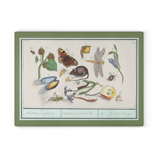 Natural History Ensemble No. 15 | Glass Chopping Board - Glass Chopping Board - Piccolo Fiore Prints