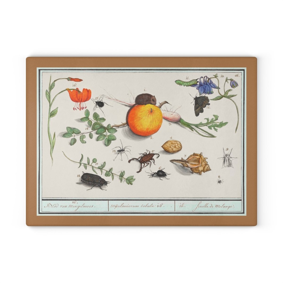 Natural History Ensemble No. 16 | Glass Chopping Board - Glass Chopping Board - Piccolo Fiore Prints