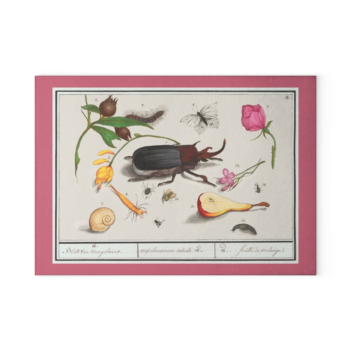 Natural History Ensemble No. 18 | Glass Chopping Board - Glass Chopping Board - Piccolo Fiore Prints
