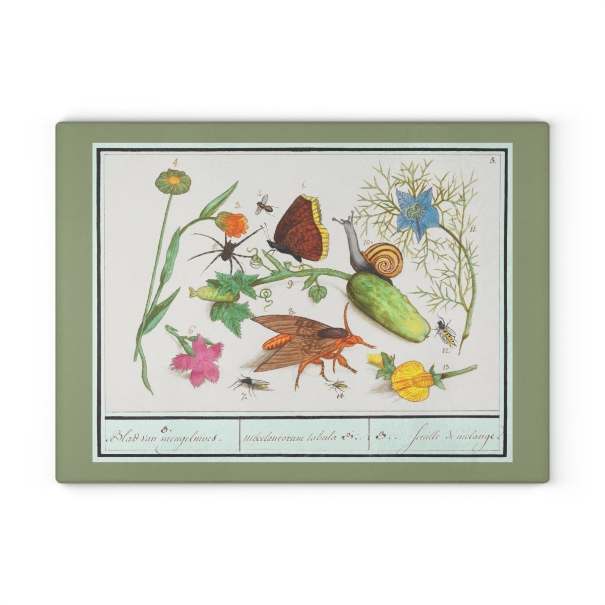 Natural History Ensemble No. 3 | Glass Chopping Board - Glass Chopping Board - Piccolo Fiore Prints
