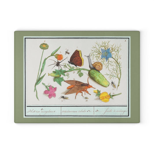 Natural History Ensemble No. 3 | Glass Chopping Board - Glass Chopping Board - Piccolo Fiore Prints