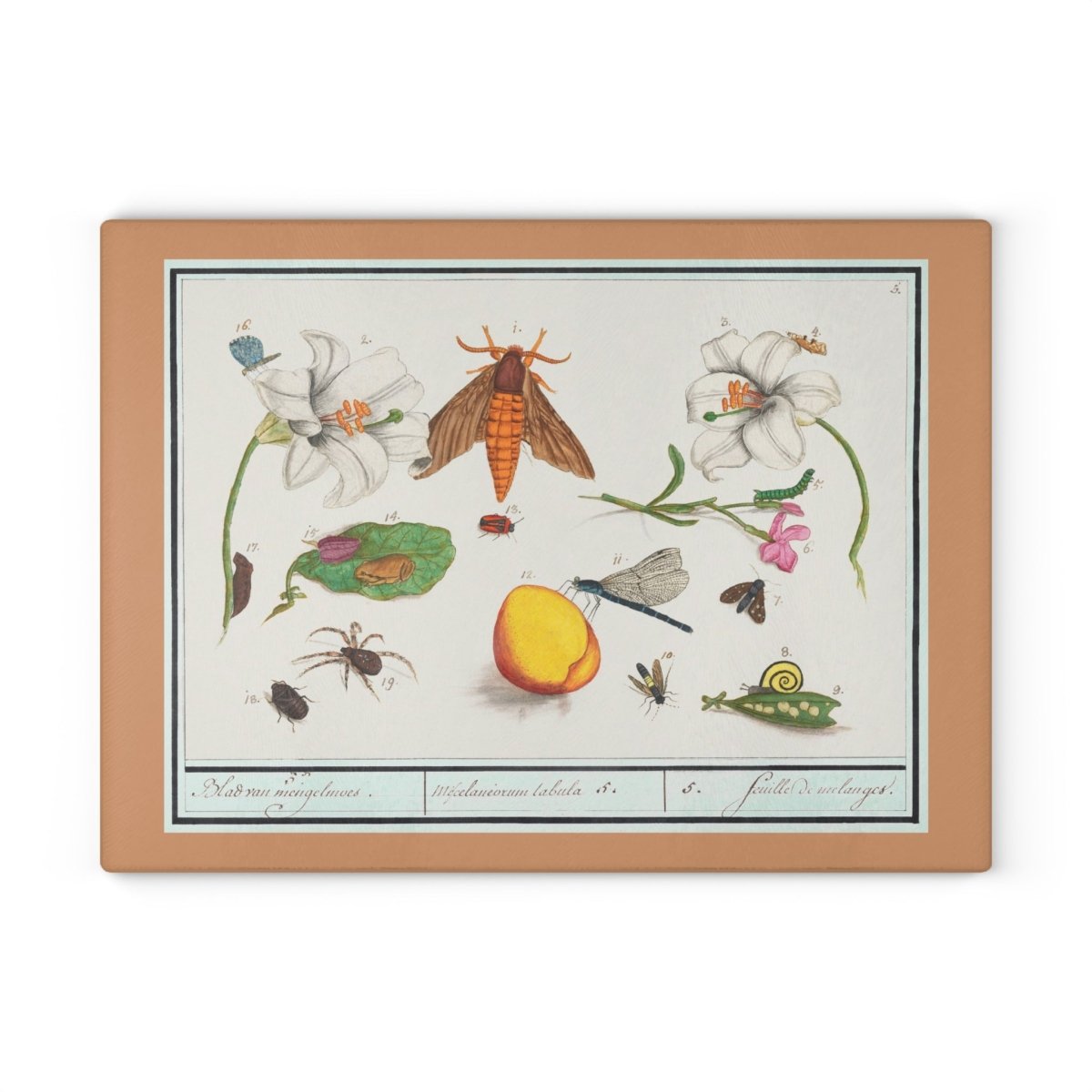 Natural History Ensemble No. 5 | Glass Chopping Board - Glass Chopping Board - Piccolo Fiore Prints