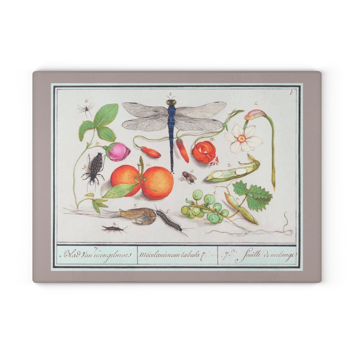 Natural History Ensemble No. 7 | Glass Chopping Board - Glass Chopping Board - Piccolo Fiore Prints