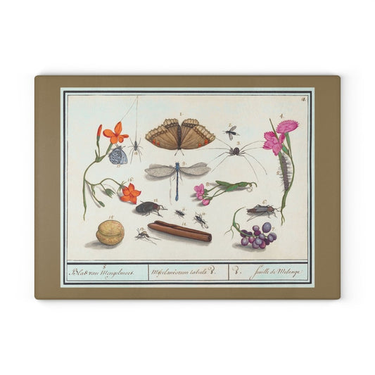 Natural History Ensemble No. 8 | Glass Chopping Board - Glass Chopping Board - Piccolo Fiore Prints