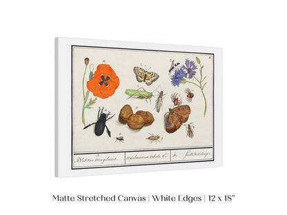 Natural History Ensemble | P239 - Single Art Prints - Piccolo Fiore Prints