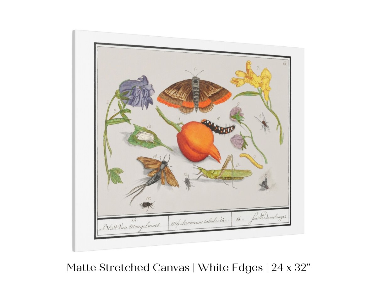 Natural History Ensemble | P362 - Single Art Prints - Piccolo Fiore Prints