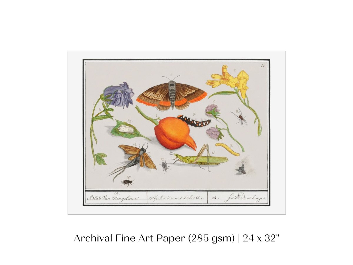Natural History Ensemble | P362 - Single Art Prints - Piccolo Fiore Prints