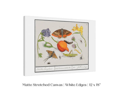 Natural History Ensemble | P362 - Single Art Prints - Piccolo Fiore Prints