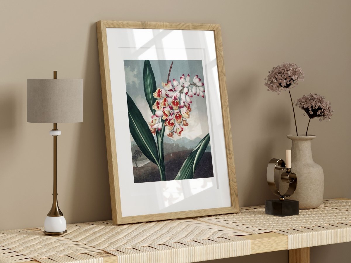 Nodding Renealmia | P391 - Single Art Prints - Piccolo Fiore Prints