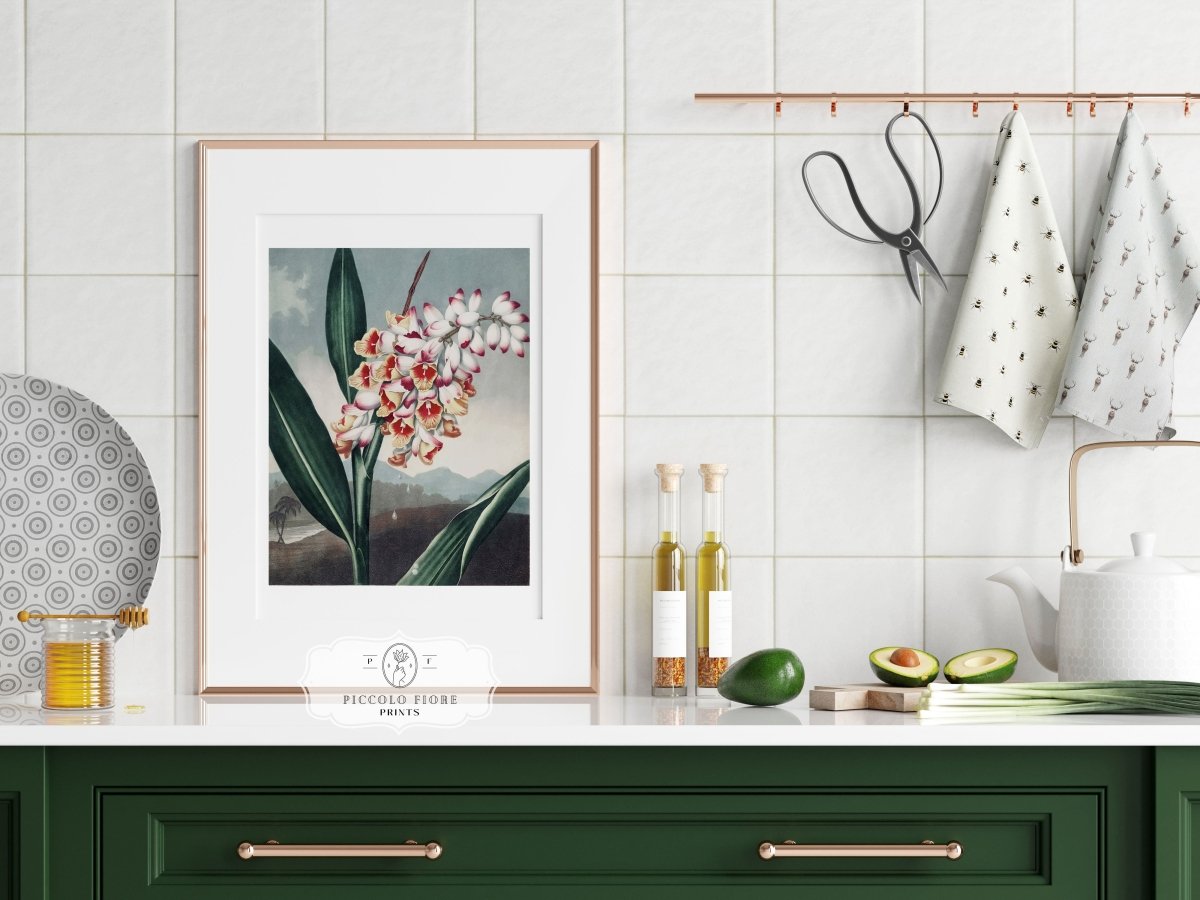 Nodding Renealmia | P391 - Single Art Prints - Piccolo Fiore Prints