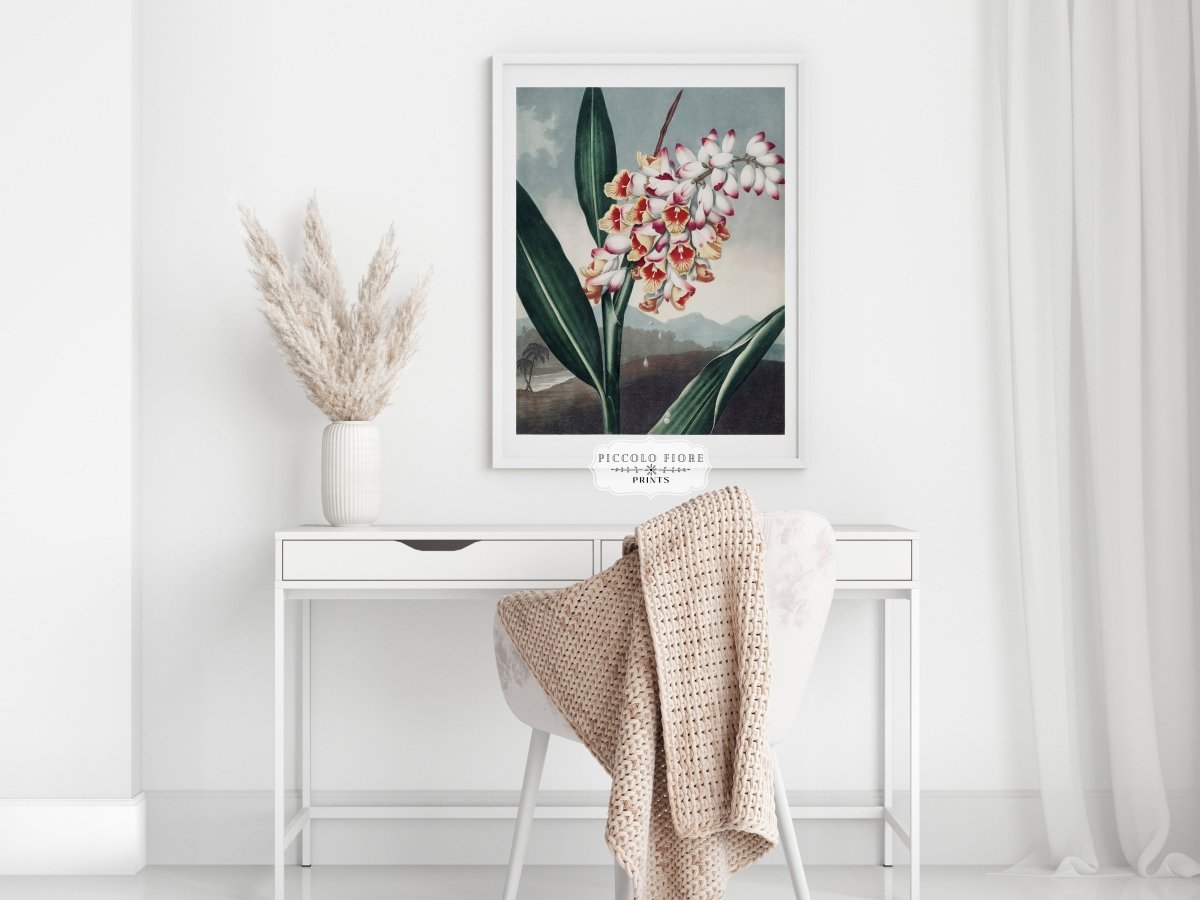Nodding Renealmia | P391 - Single Art Prints - Piccolo Fiore Prints