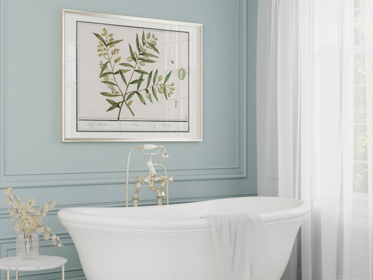 Olive Illustration | P344 - Single Art Prints - Piccolo Fiore Prints