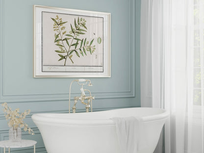 Olive Illustration | P344 - Single Art Prints - Piccolo Fiore Prints