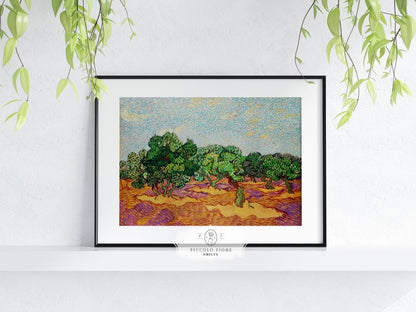 Olive Trees | P323 - Single Art Prints - Piccolo Fiore Prints