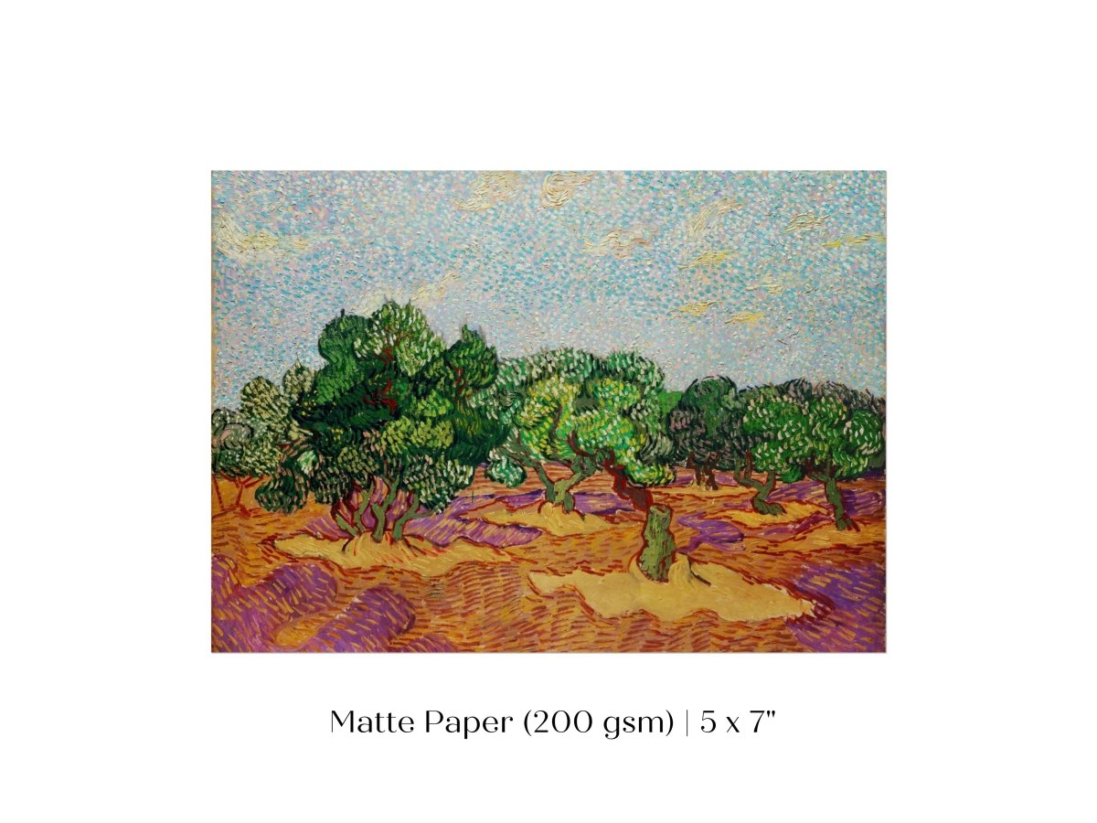Olive Trees | P323 - Single Art Prints - Piccolo Fiore Prints